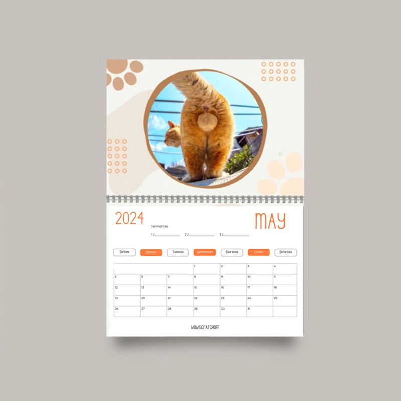 Funniest calendar of the century Funny Cat Calendar 2024 appledogs uk