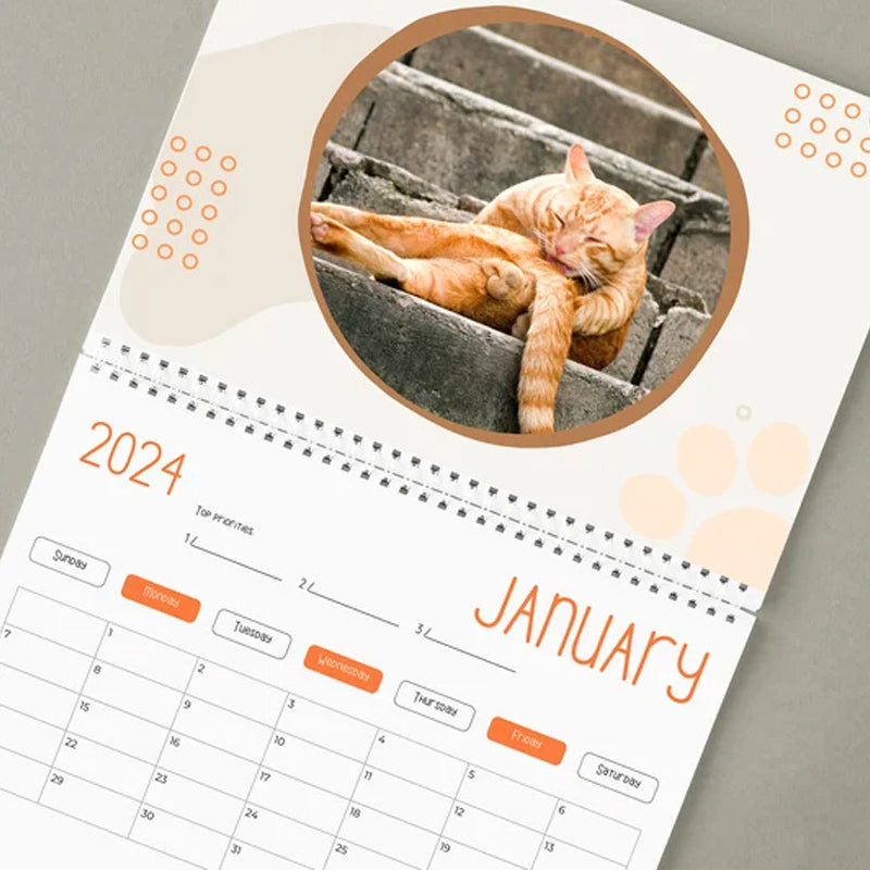 Funniest calendar of the century Funny Cat Calendar 2024 appledogs uk